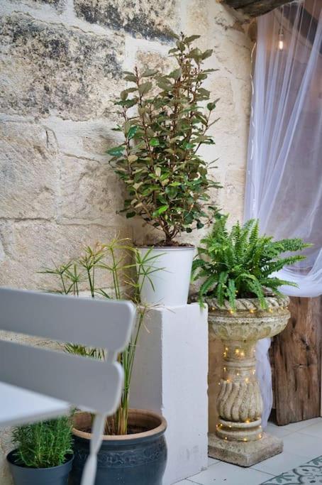 Appartement-Terrasse Centre Historique Uzès Eksteriør bilde